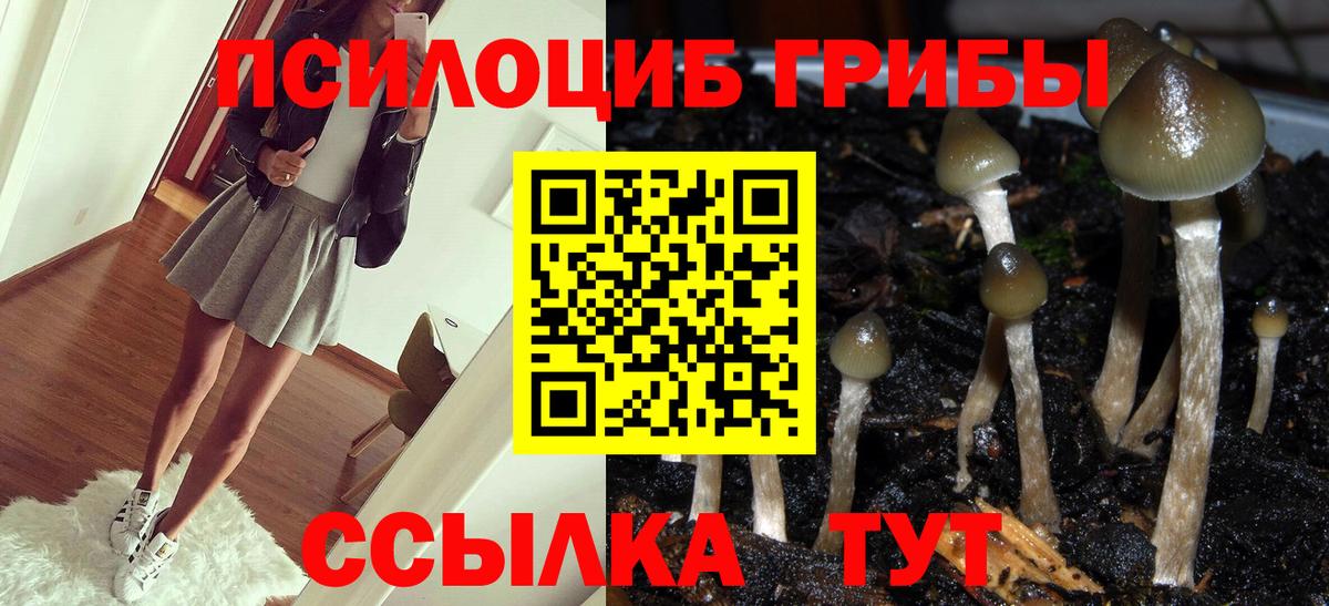 Нягань  Галлюциногенные грибы Magic Shrooms  Вход с VPN 